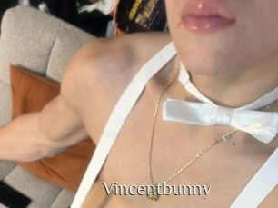 Vincentbunny