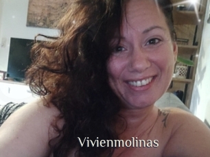 Vivienmolinas