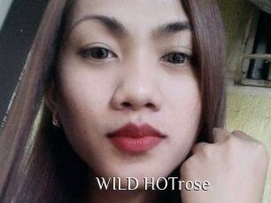 WILD_HOTrose
