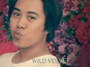 WILD_VELVET