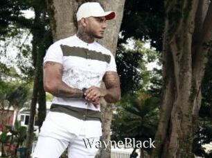 WayneBlack Shop coquin