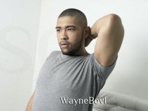 WayneBoyI