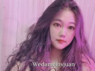 Wedameinvjuan