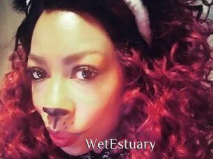 WetEstuary
