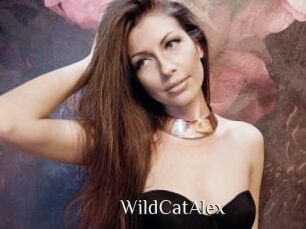 WildCatAlex