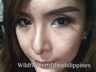 Wildflowerofthephilippines