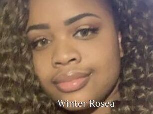 Winter_Rosea