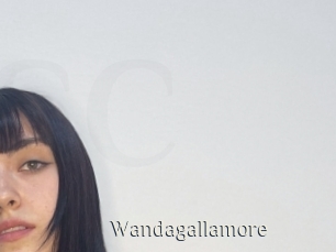 Wandagallamore