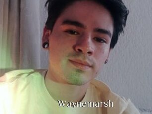 Waynemarsh