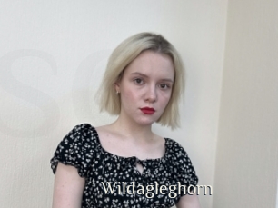 wildagleghorn Shop coquin
