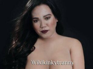 Wildkinkytranny