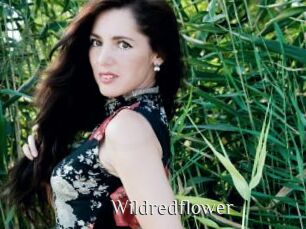 Wildredflower