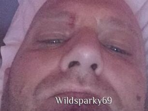 Wildsparky69