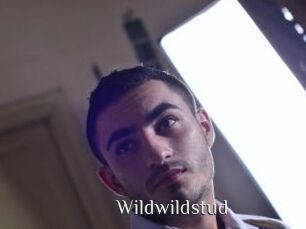 wildwildstud Shop coquin