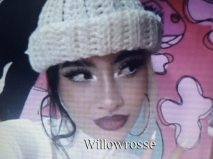 willowrosse Shop coquin