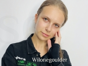 Wilonegoulder
