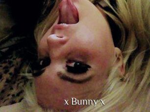 _x_Bunny_x_