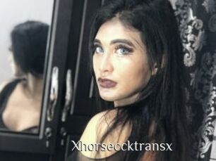 Xhorseccktransx