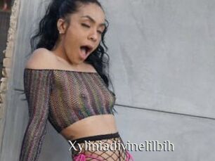 Xyliniadivinelilbih