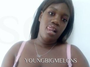 YOUNGBIGMELONS
