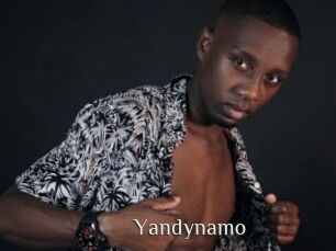 Yandynamo