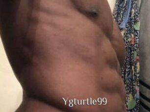 Ygturtle99