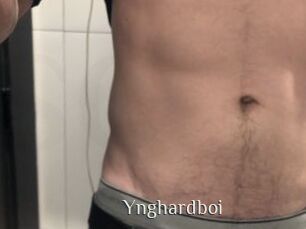 Ynghardboi Shop coquin