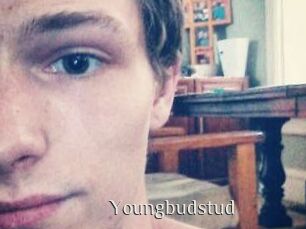 Youngbudstud
