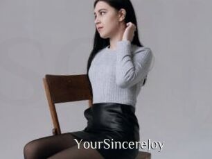 YourSincereJoy Shop coquin