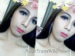 YourTransWild
