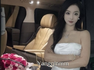 Yangqinmm