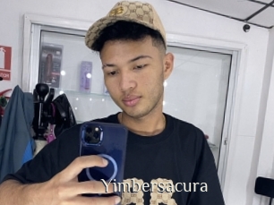 Yimbersacura