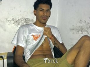 yorck Shop coquin