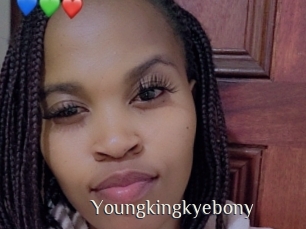 Youngkingkyebony