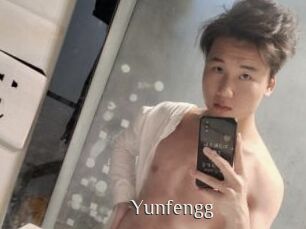 Yunfengg
