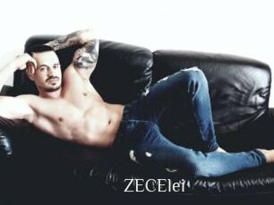 ZECElei