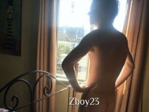 Zboy23