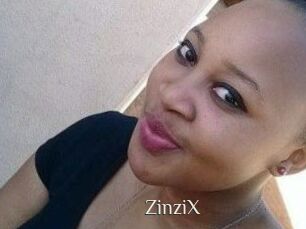 ZinziX