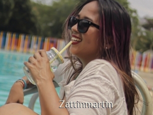 Zattinmartin