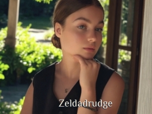 Zeldadrudge