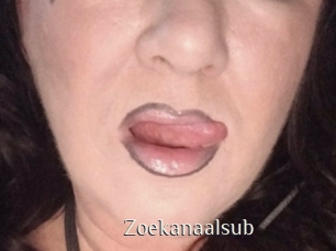 Zoekanaalsub
